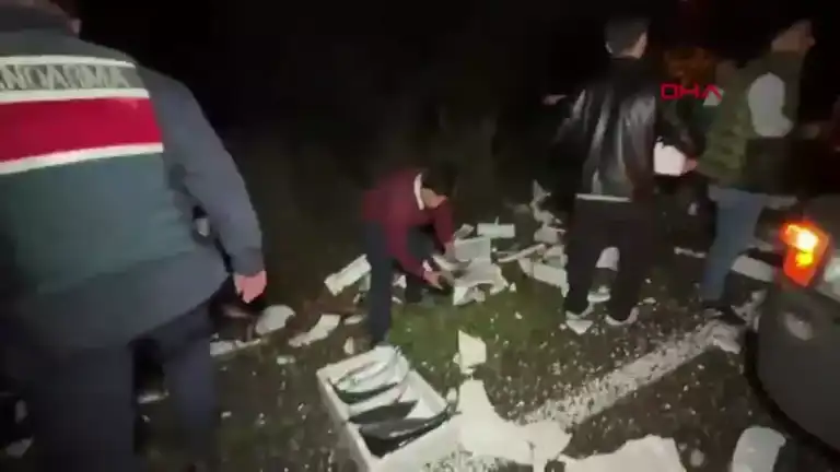 Balık Taşıyan TIR'dan Yola Savrulan Palamutlar Trafiği Kapatı